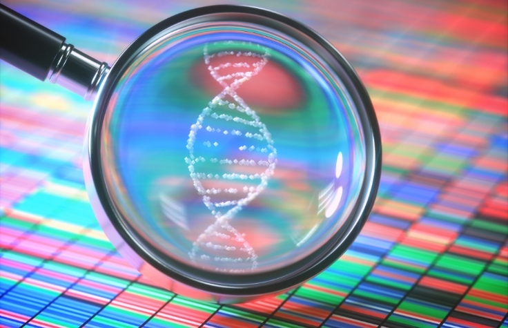 What Are The Differences Between DNA Genotyping And Sequencing?